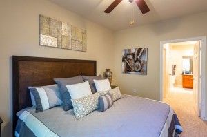 Two Bedroom Apartments for Rent in Katy, TX - Model Bedroom